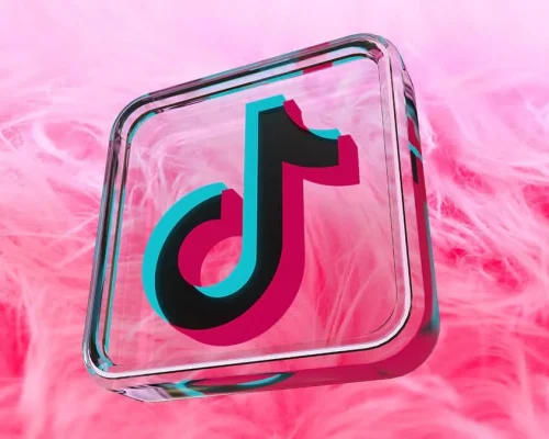 TIKTOK ADS